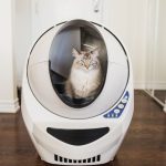 Litter Robot: An Innovative Solution for Cat Owners