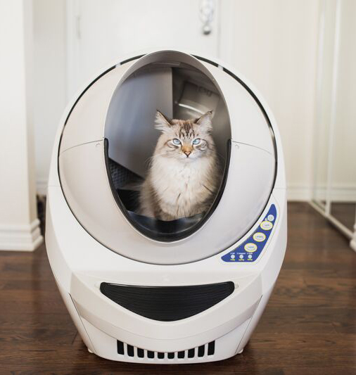 Litter Robot: An Innovative Solution for Cat Owners