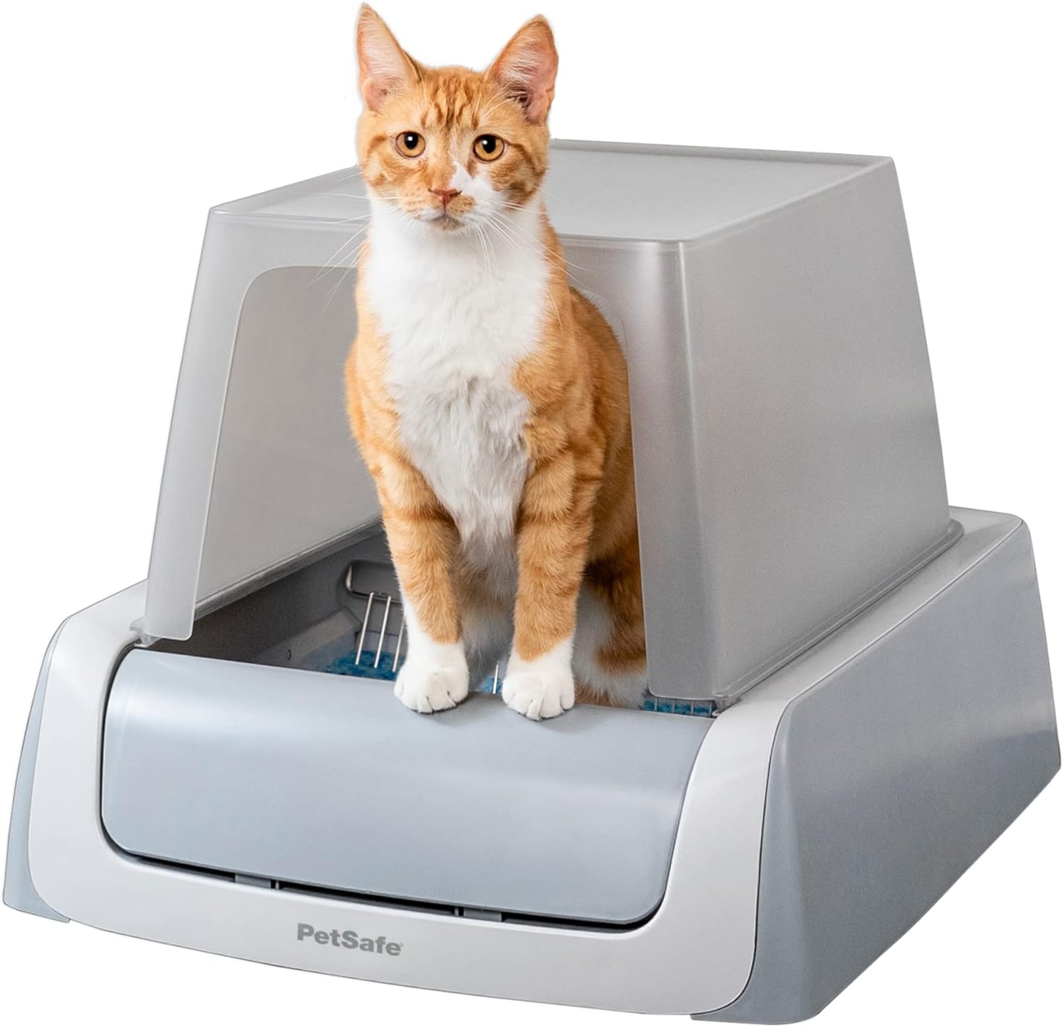 Managing Cat Litter with Ease: Exploring the Whisker Litter Robot插图2