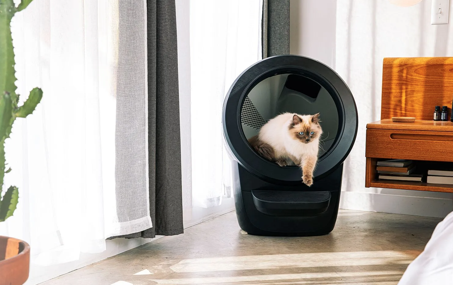 litter robot