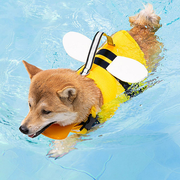 dog life vest