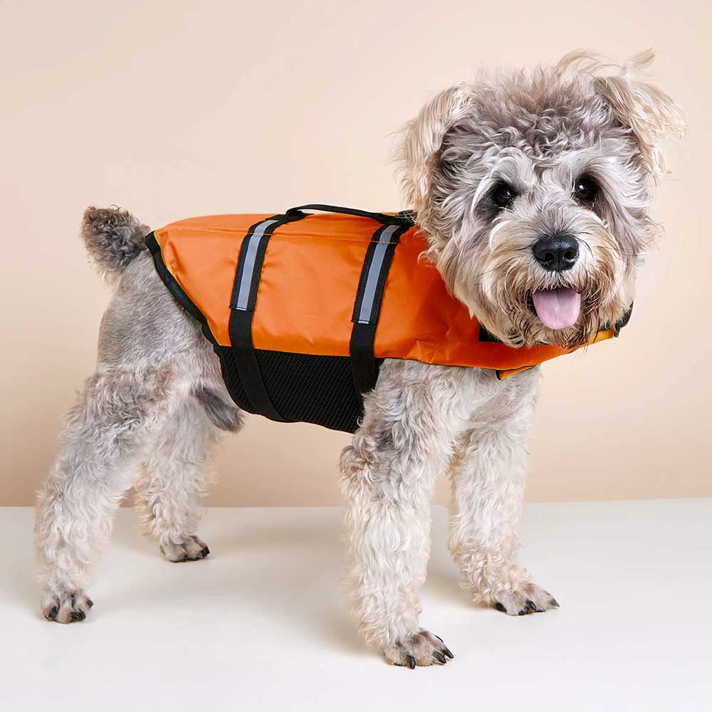 	
small dog life vest