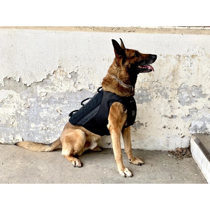 bulletproof dog vest