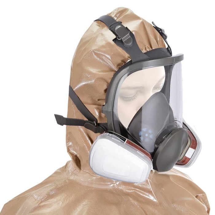 full face dust mask