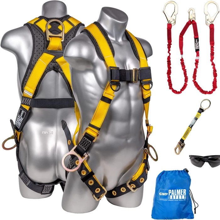fall protection harness and lanyard