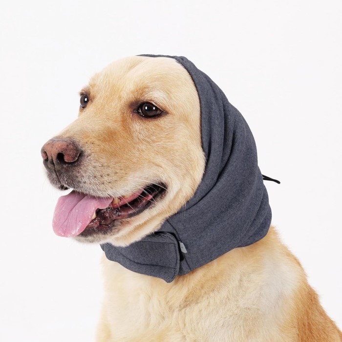 Dog Ear Protection: Essential Gear for Happy, Healthy Dogs插图1 dog ear protection