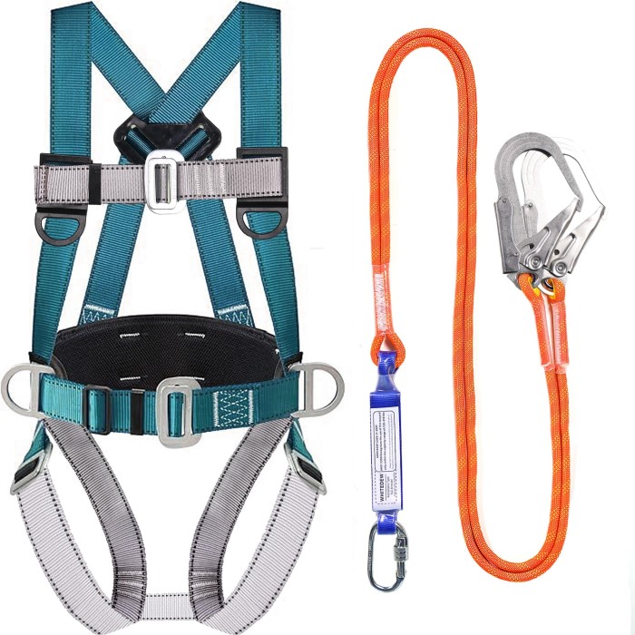 fall protection harness and lanyard