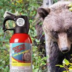 Does Pepper Spray Work on Bears? Essential Facts You Need缩略图 does pepper spray work on bears