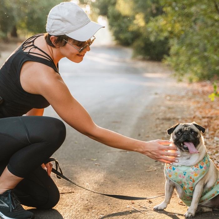 Does Pepper Spray Work on Dogs? Expert Insights for Safety插图4 does pepper spray work on dogs