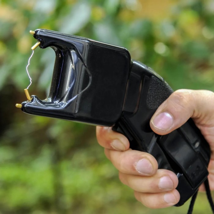 stun gun voltage