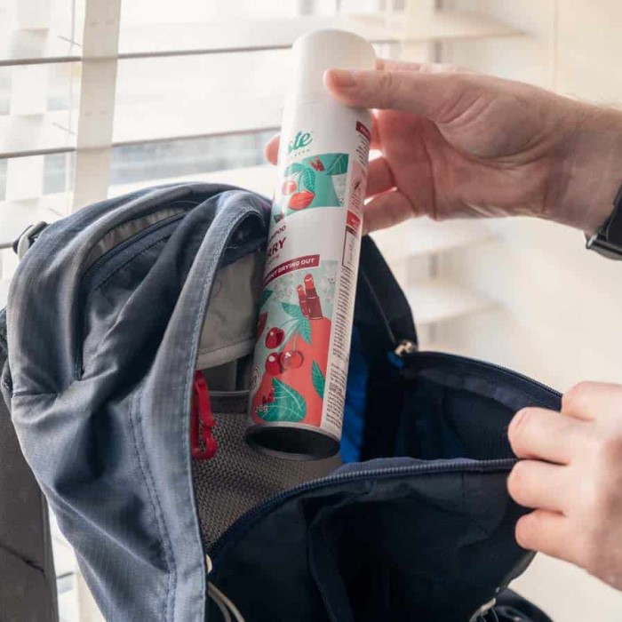 can you bring pepper spray on a plane