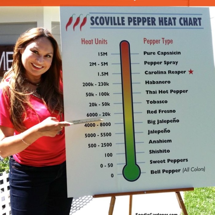 Is Pepper Spray Edible? The Truth Behind Safety and Risks插图1 is pepper spray edible