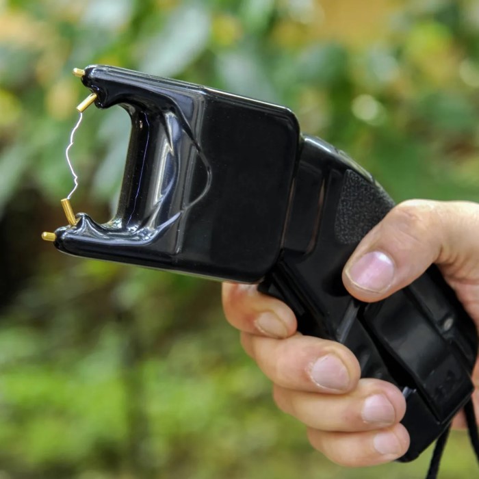 difference between stun gun and taser