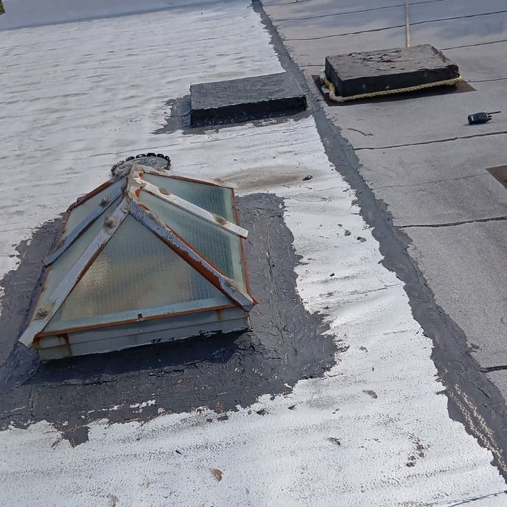 skylight fall protection