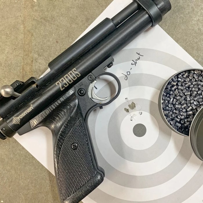 2026’s Strongest Pellet Gun: Unmatched Power and Accuracy缩略图 strongest pellet gun