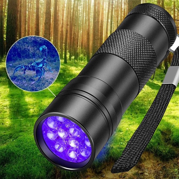 black light flashlight