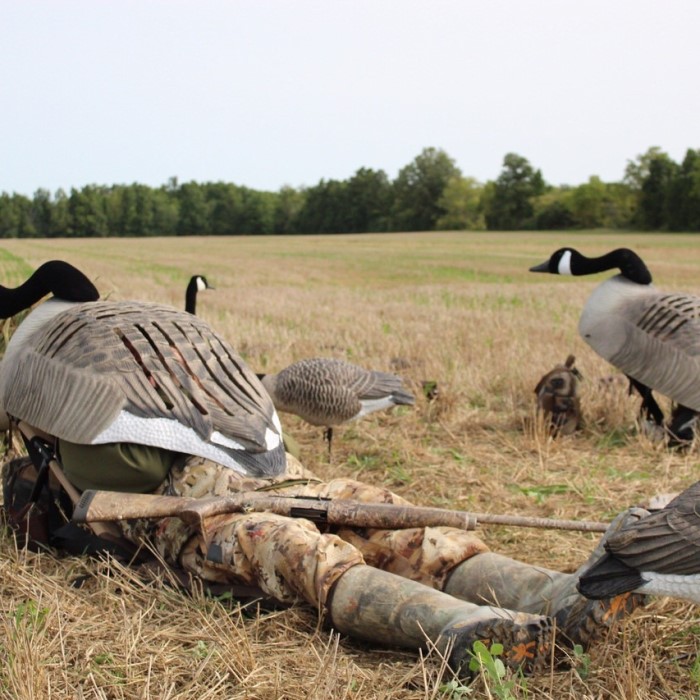 Top Goose Layout Blind Options for 2026: Maximize Your Game缩略图 goose layout blind