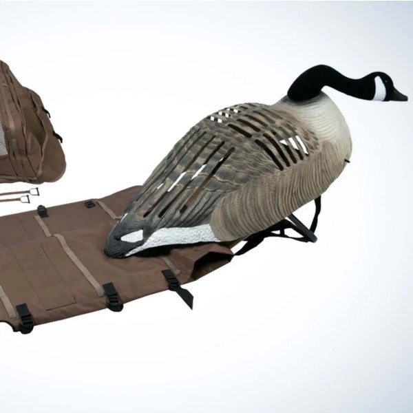 goose layout blind