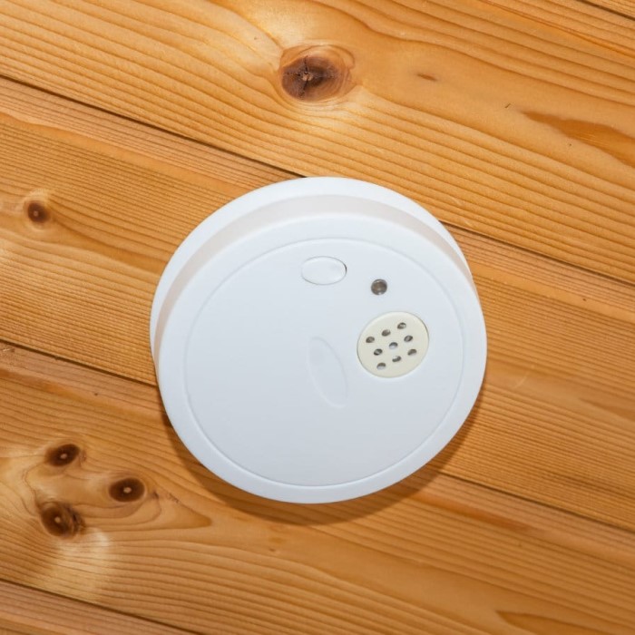 will carbon monoxide detector detect gas leak