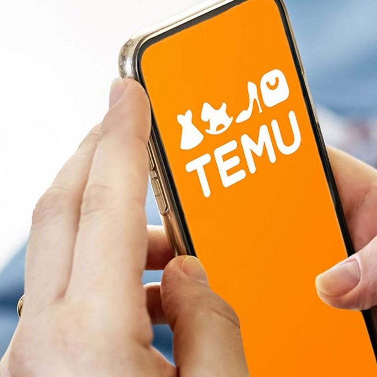 Does Temu Steal Your Card Information? Protect Yourself Online插图1 does temu steal your card information