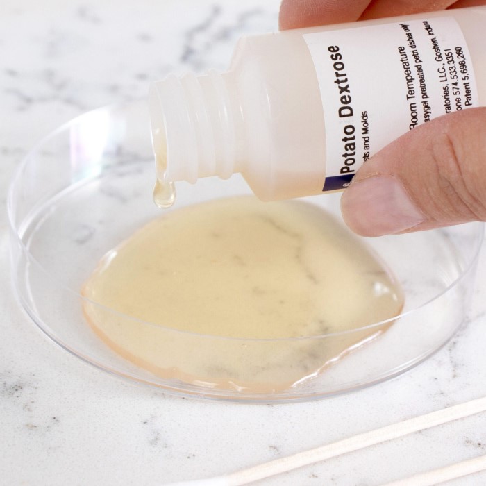 Why You Need an Air Mold Test Kit for Spring Cleaning 2026插图1 air mold test kit