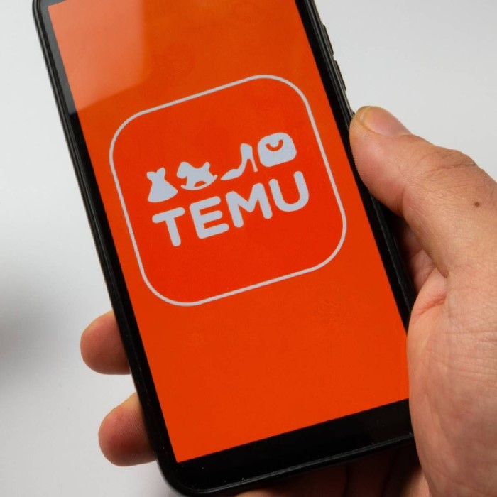 Does Temu Steal Your Card Information? Protect Yourself Online插图 does temu steal your card information
